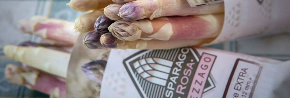 sagra-asparago